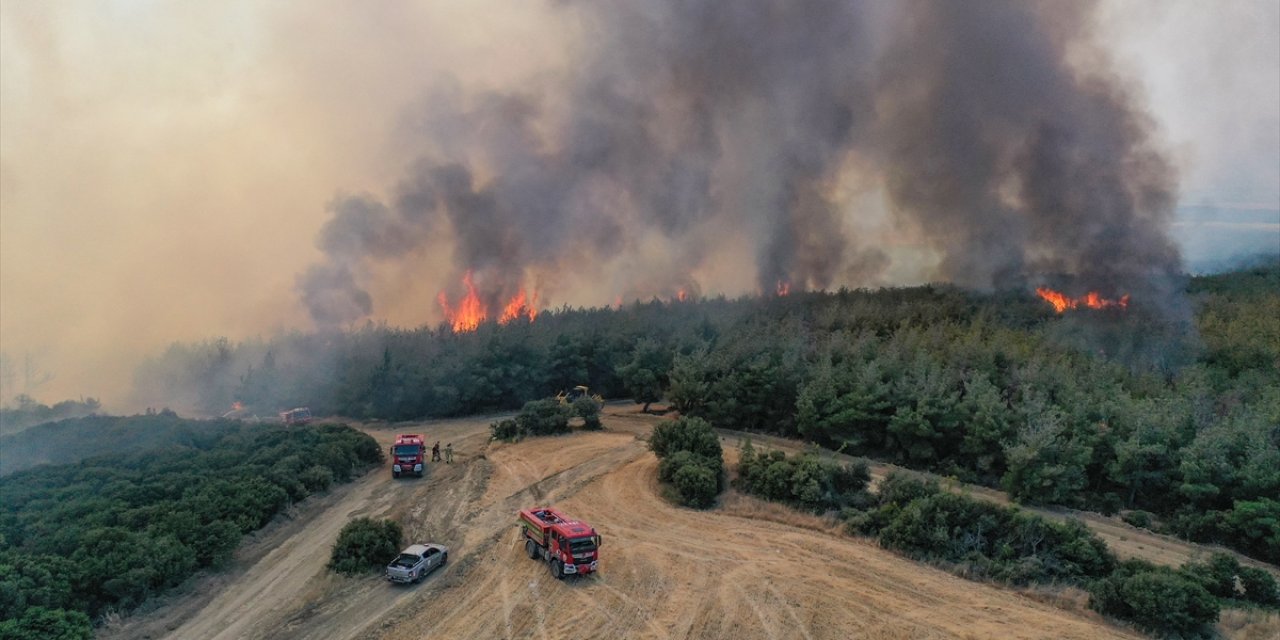 Tekirdağ'da çıkan orman yangını Çanakkale'ye sıçradı