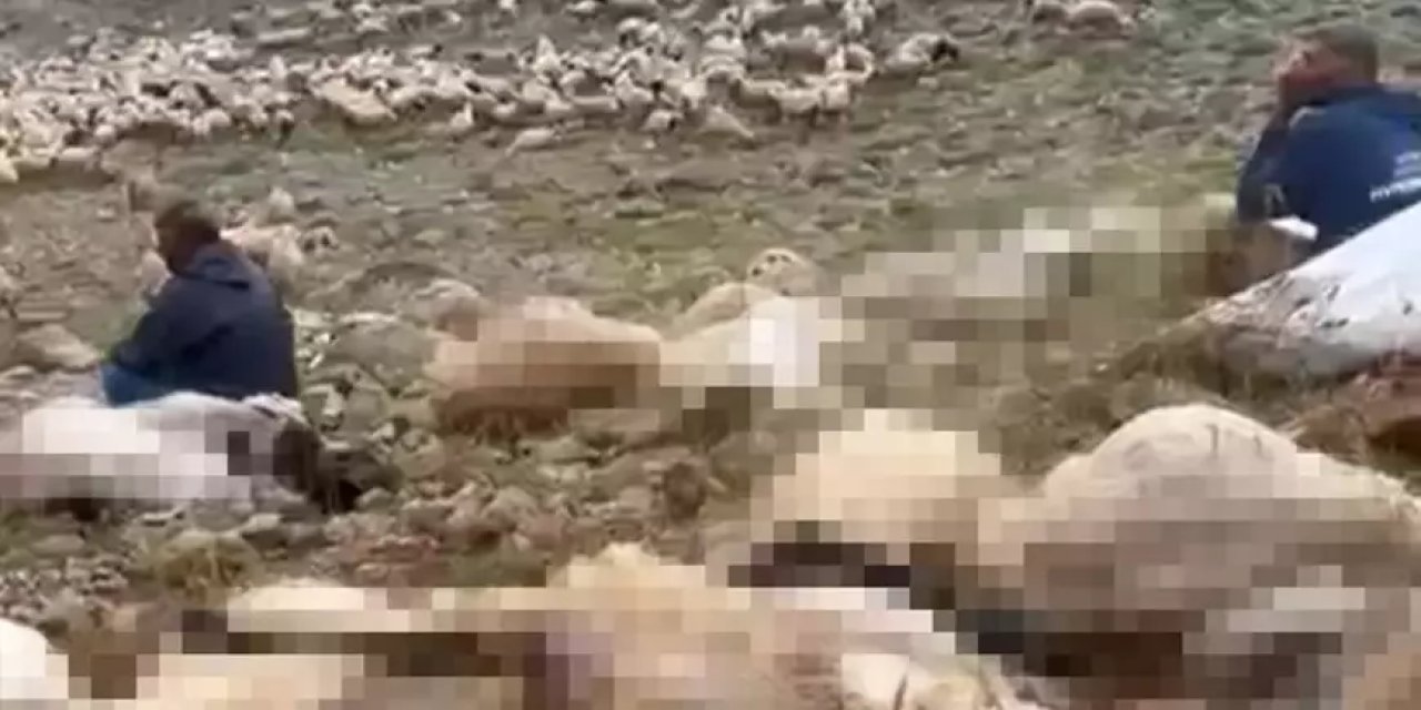 Yaylaya yıldırım düştü; 200 küçükbaş öldü