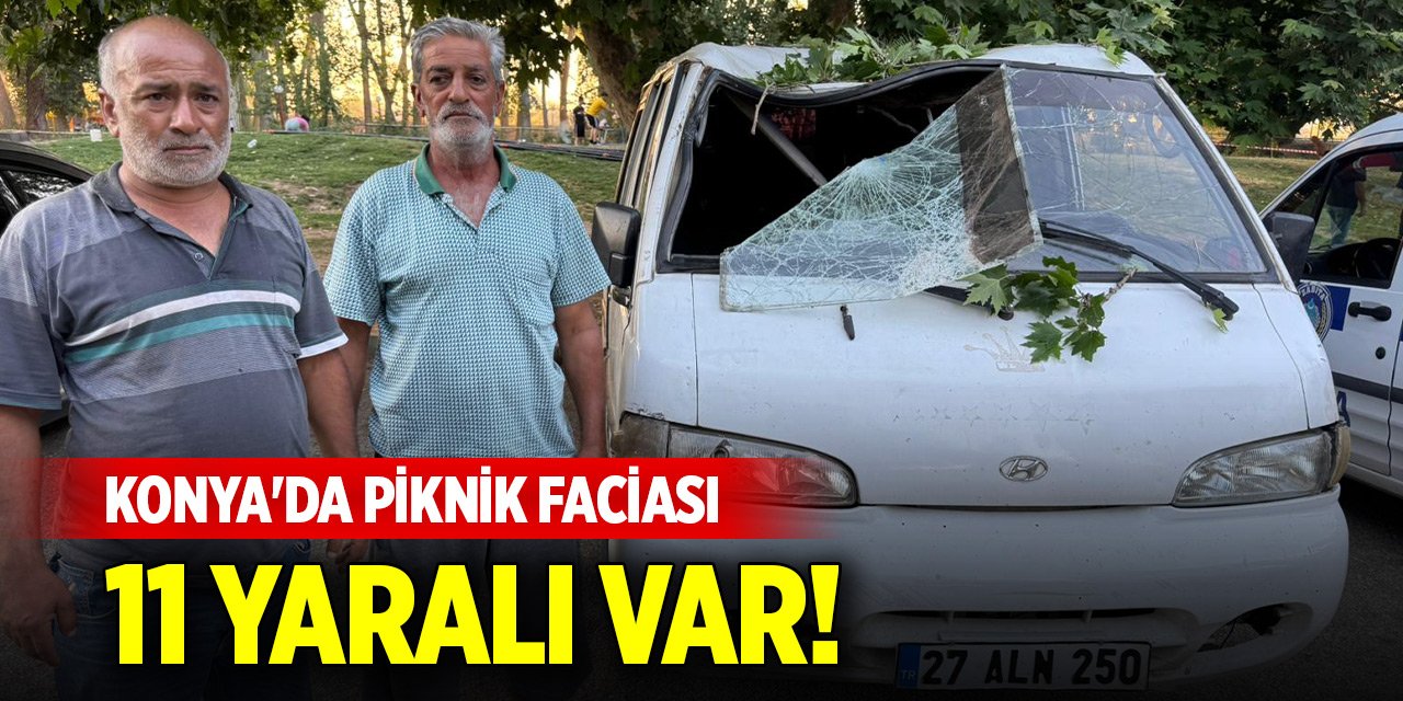 Konya'da piknik faciası: 11 yaralı