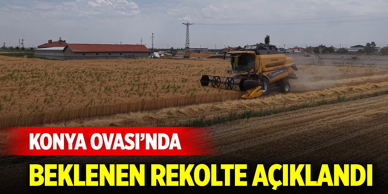 Türkiye'nin tahıl ambarı Konya Ovası’nda beklenen rekolte açıklandı