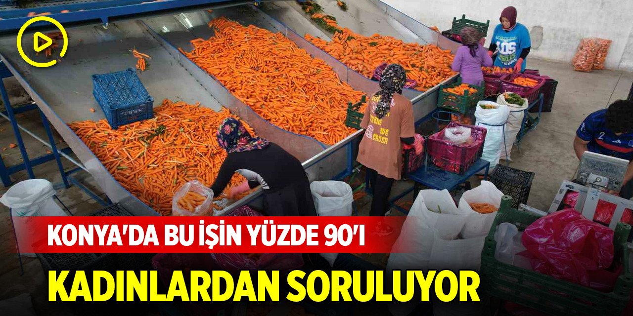 Konya'da bu işin yüzde 90'ı kadınlardan soruluyor