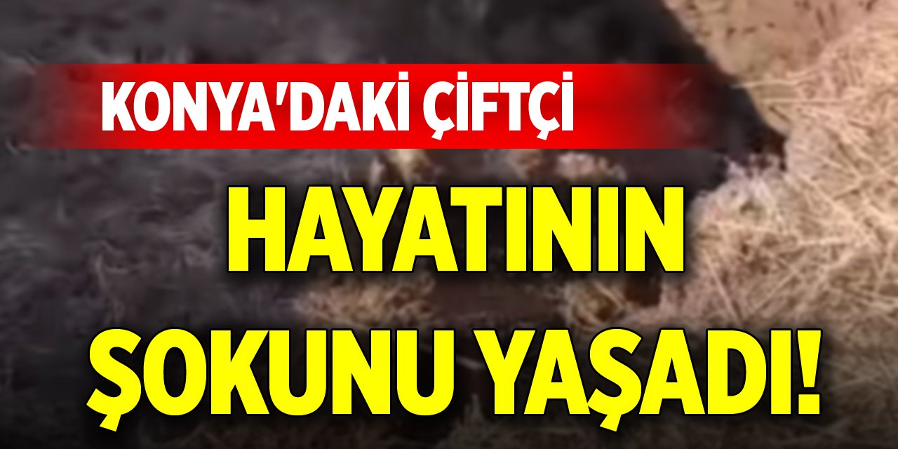 Konya'daki çiftçi hayatının şokunu yaşadı!