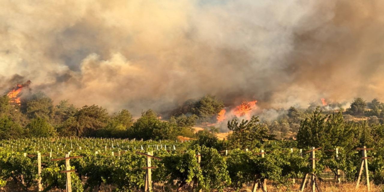 3 ilde orman yangını