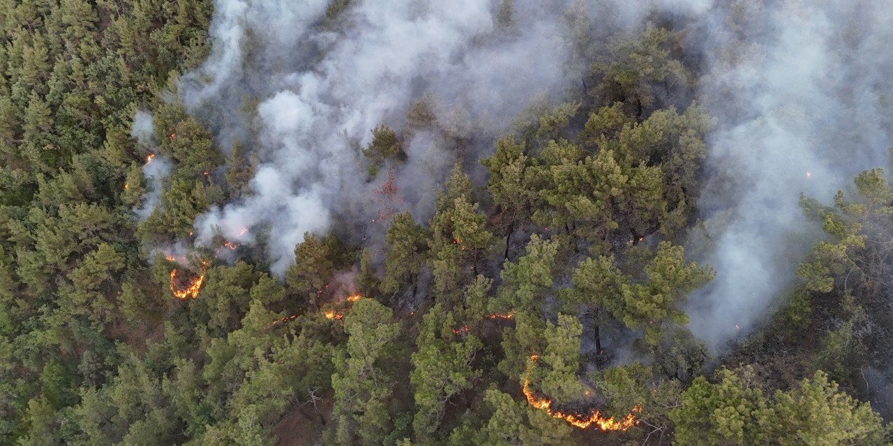 Karabük’te orman yangınına müdahale 6 saattir aralıksız sürüyor