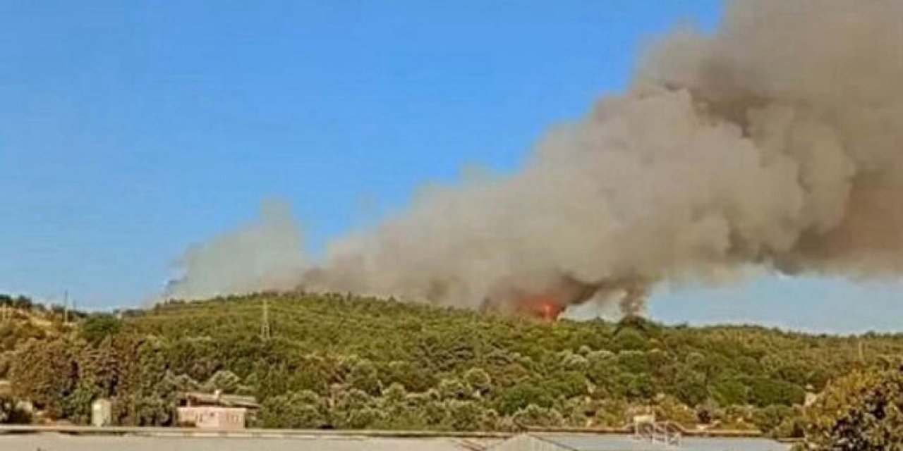 İzmir’de orman yangını