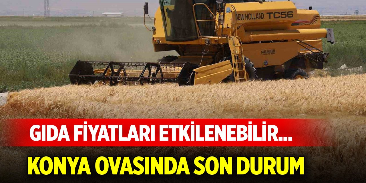 Gıda fiyatları etkilenebilir... Konya Ovasında son durum