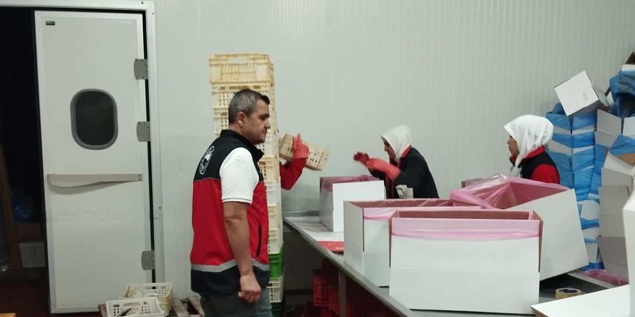 Balıkçılar denetleniyor