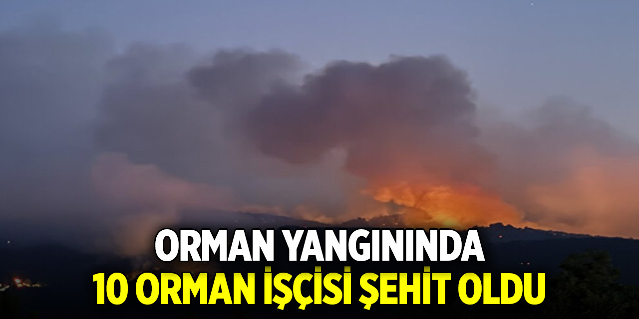 Orman yangınında 10 orman işçisi şehit oldu
