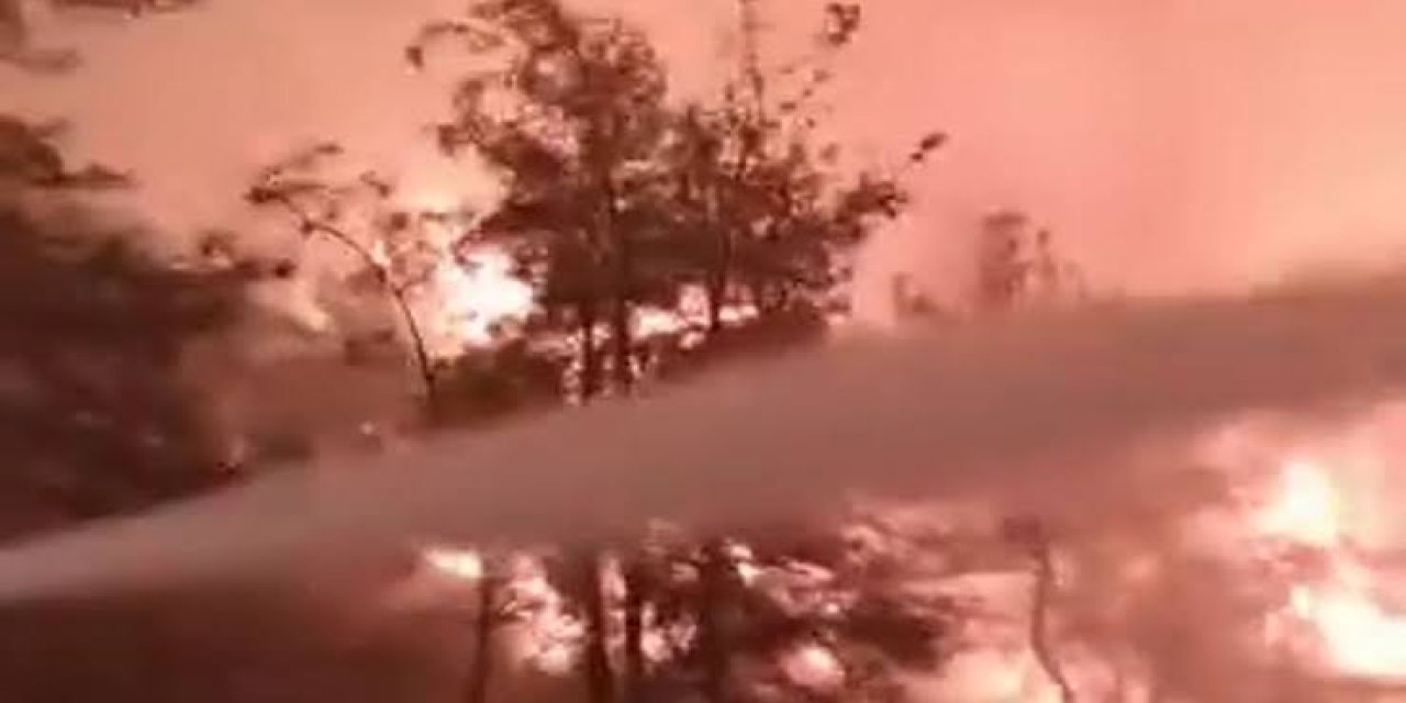 Sakarya Geyve'de orman yangını büyüyor; yerleşim yerleri tehdit altında