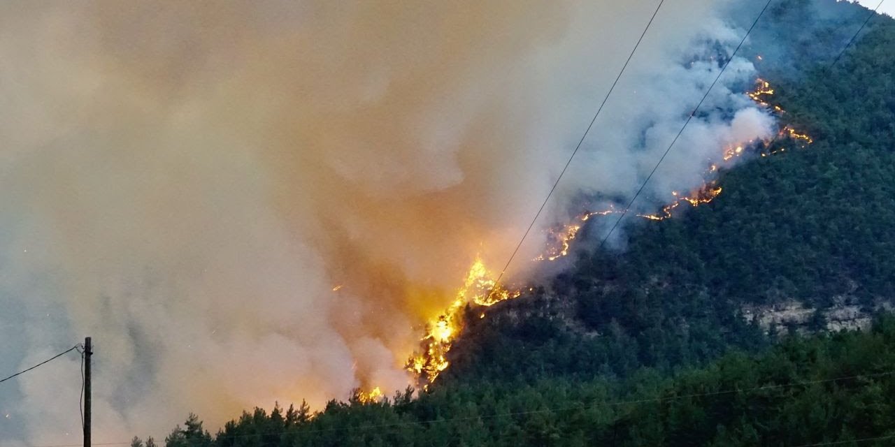 Eskişehir ve Afyon’daki orman yangınına soruşturma