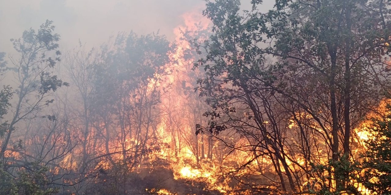 Şehit olan ekibin son görüntüsü ortaya çıktı