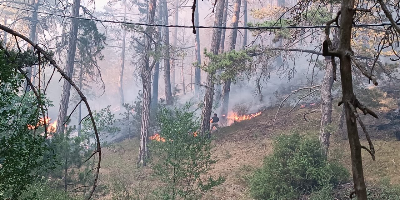Bolu'nun Mudurnu ilçesinde ormanlık alanda yangın çıktı