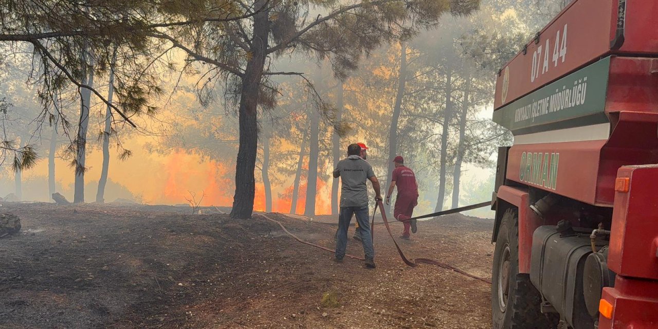 Antalya'da 3 ayrı ilçede orman yangını