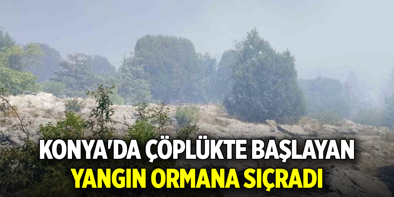 Konya'da çöplükte başlayan yangın ormana sıçradı