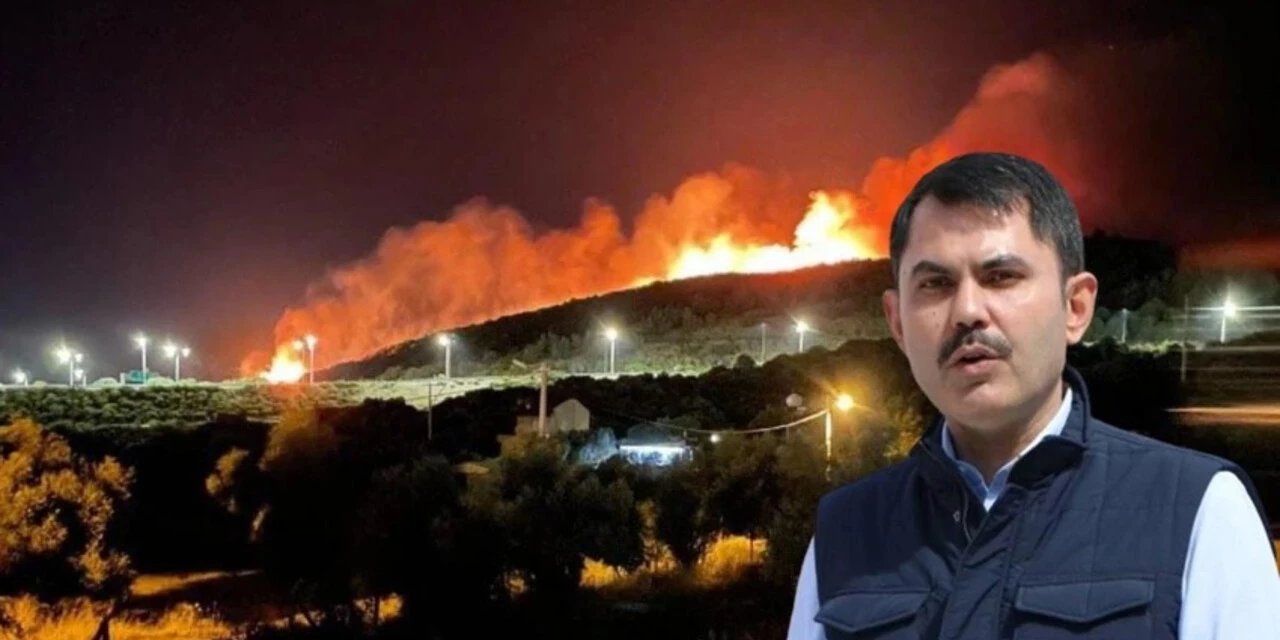 Bakan Kurum: 4 ildeki orman yangınında 87 bağımsız birim hasar aldı