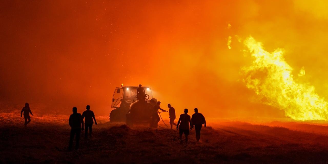 Yeşil Vatan'ı korumak için rehber hazırlandı