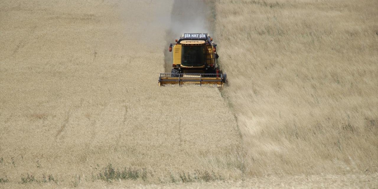 Vali Gül'den anız uyarısı: "2 Ağustos'a kadar tamamlanmalı"