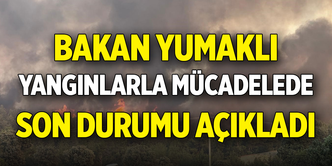 Bakan Yumaklı yangınlarla mücadelede son durumu açıkladı