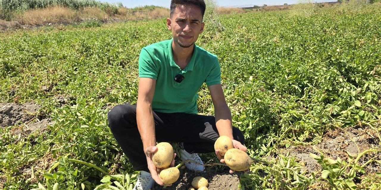 Genç çiftçi, patatesi halka ücretsiz dağıttı