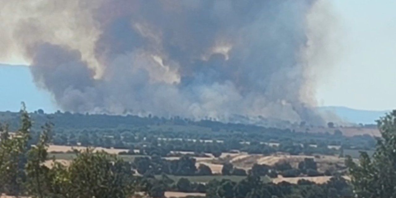Yangın Türkiye sınırına dayandı