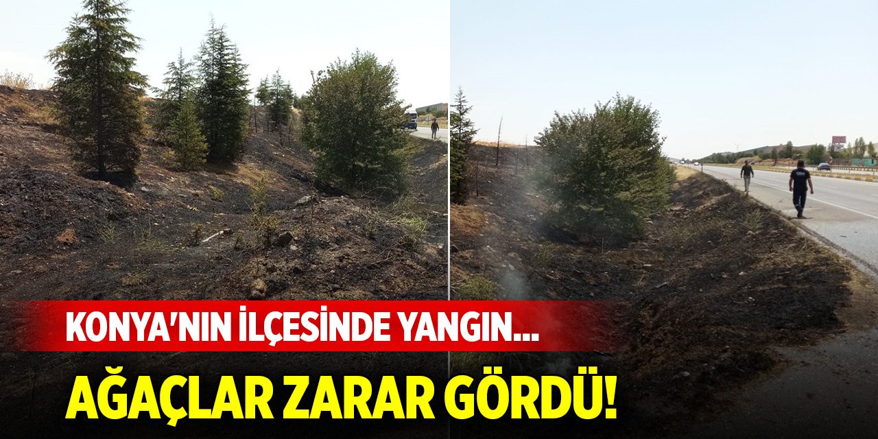 Konya'nın ilçesinde yangın... Ağaçlar zarar gördü!