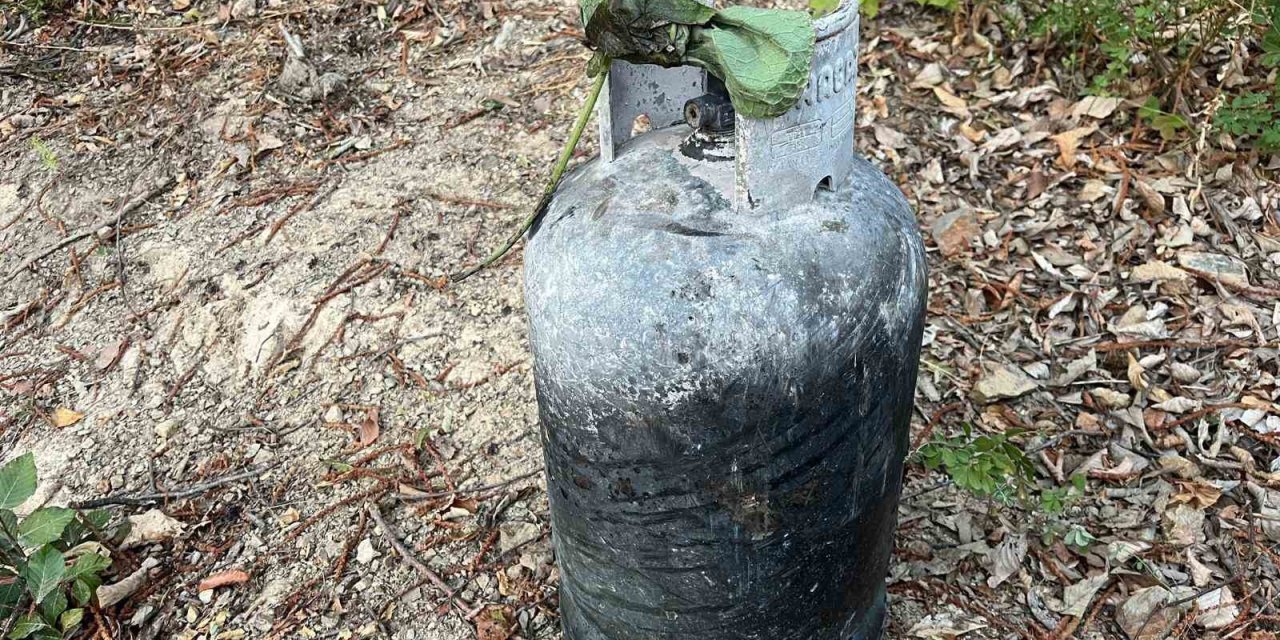 Sakarya Hendek’teki orman yangınının sebebi belli oldu