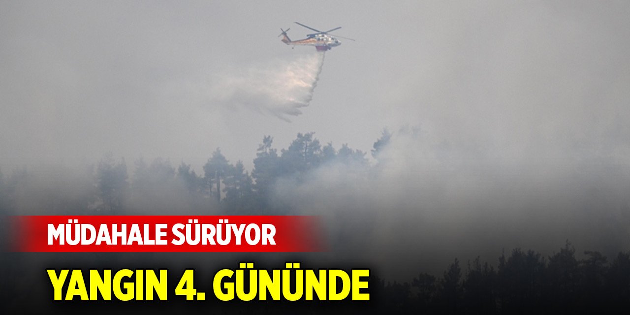 Bursa'nın Orhaneli-Harmancık hattındaki orman yangınına müdahale 4. gününde sürüyor