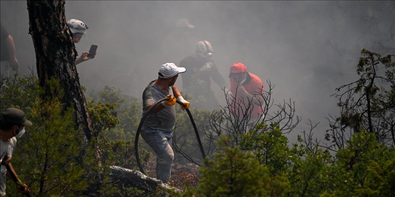 Bakanlıktan orman yangınlarından etkilenen üç ile 10 milyon lira destek