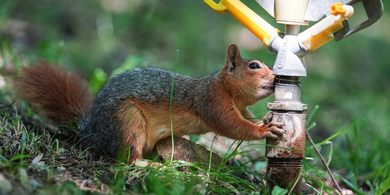 Konya dahil 23 ilde sıcaklıklar 40 derecenin üzerine çıktı