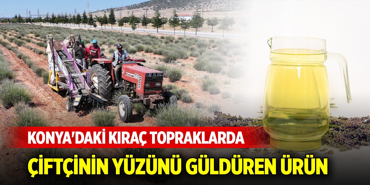 Konya'daki kıraç topraklarda çiftçinin yüzünü güldüren ürün