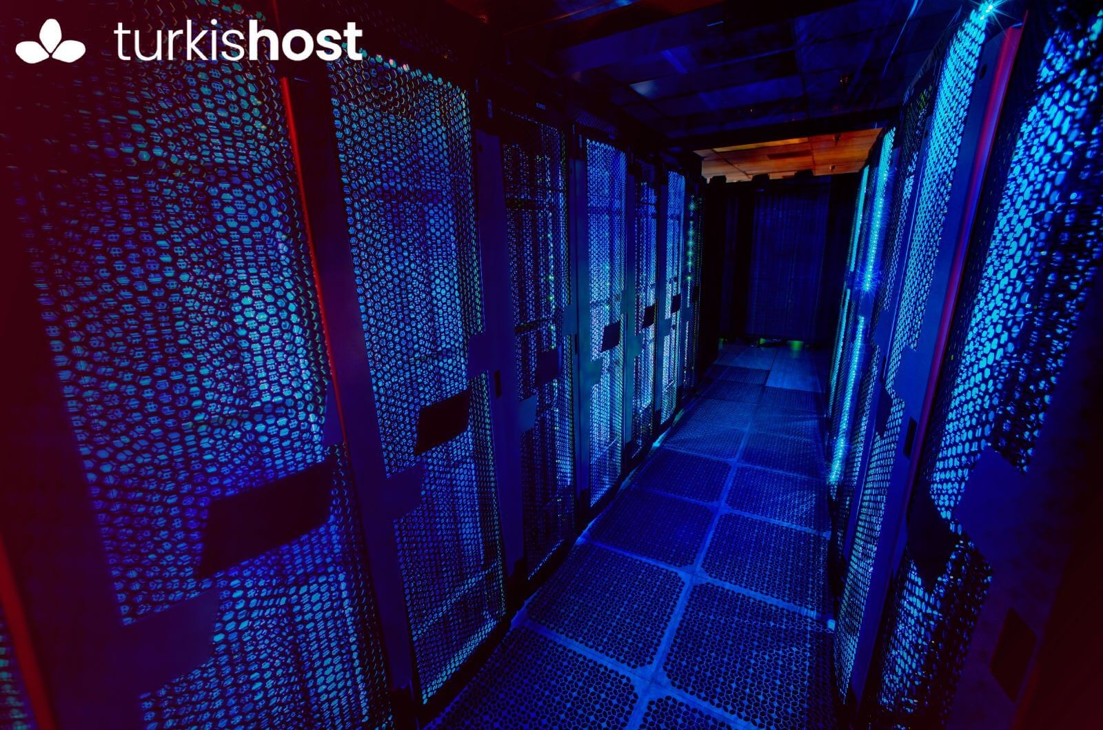 Turkishost: Web Hosting Alanında Güvenilir Çözüm Ortağınız!