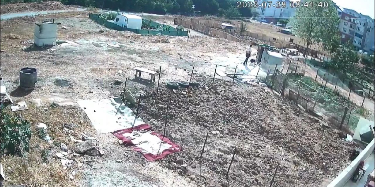 Köpek işkenceyle öldürüldü iddiası!