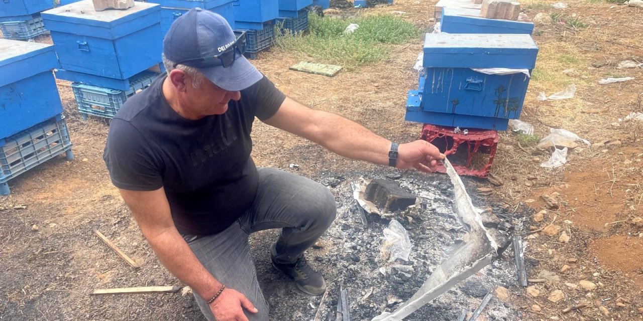 Milyonlarcası ateşe uçtu bir daha geri dönmedi