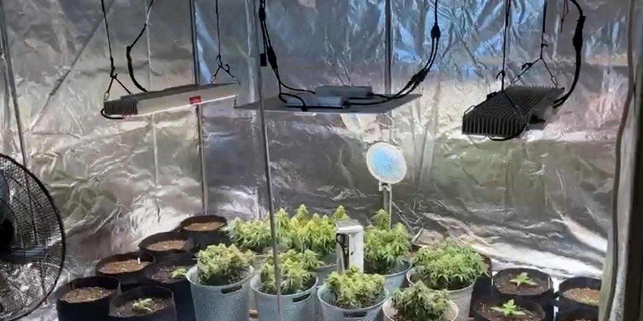 Torbacılara şafak baskını, ev tipi serada uyuşturucu yetiştirmişler: 8 tutuklama