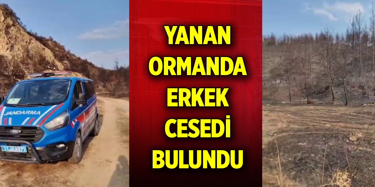 Yanan ormanda erkek cesedi bulundu