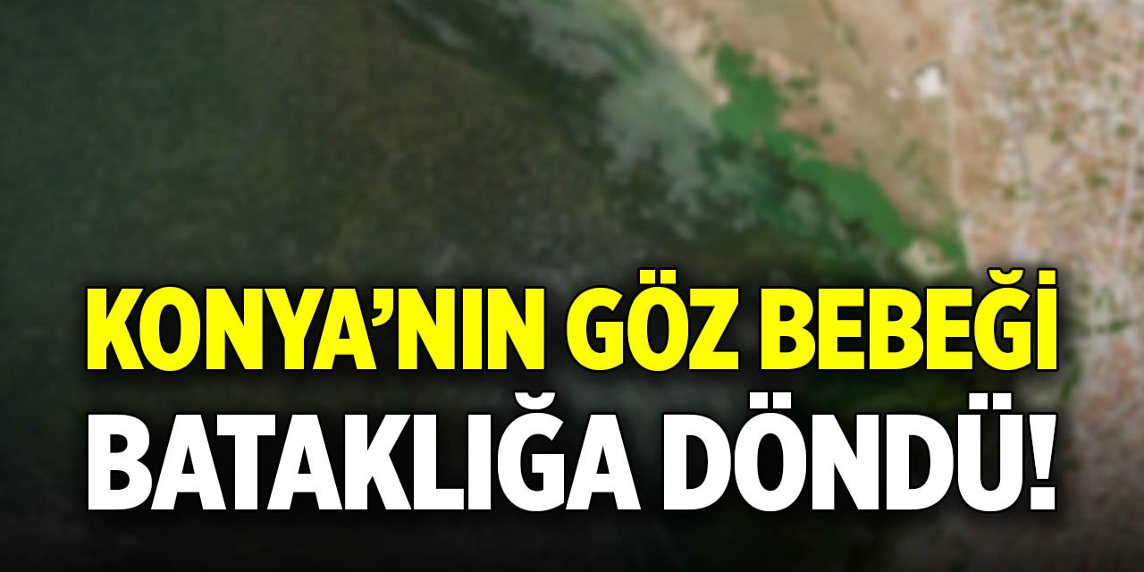 Konya’nın göz bebeği bataklığa döndü!