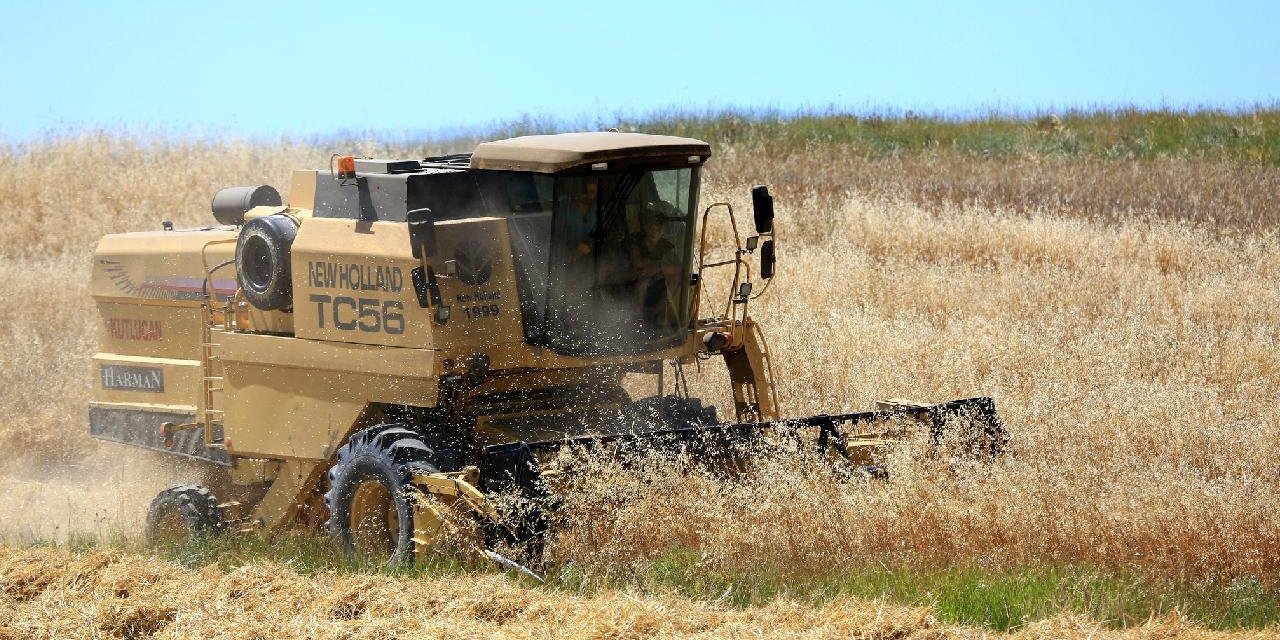 Küresel gıda fiyatları temmuzda yükseldi