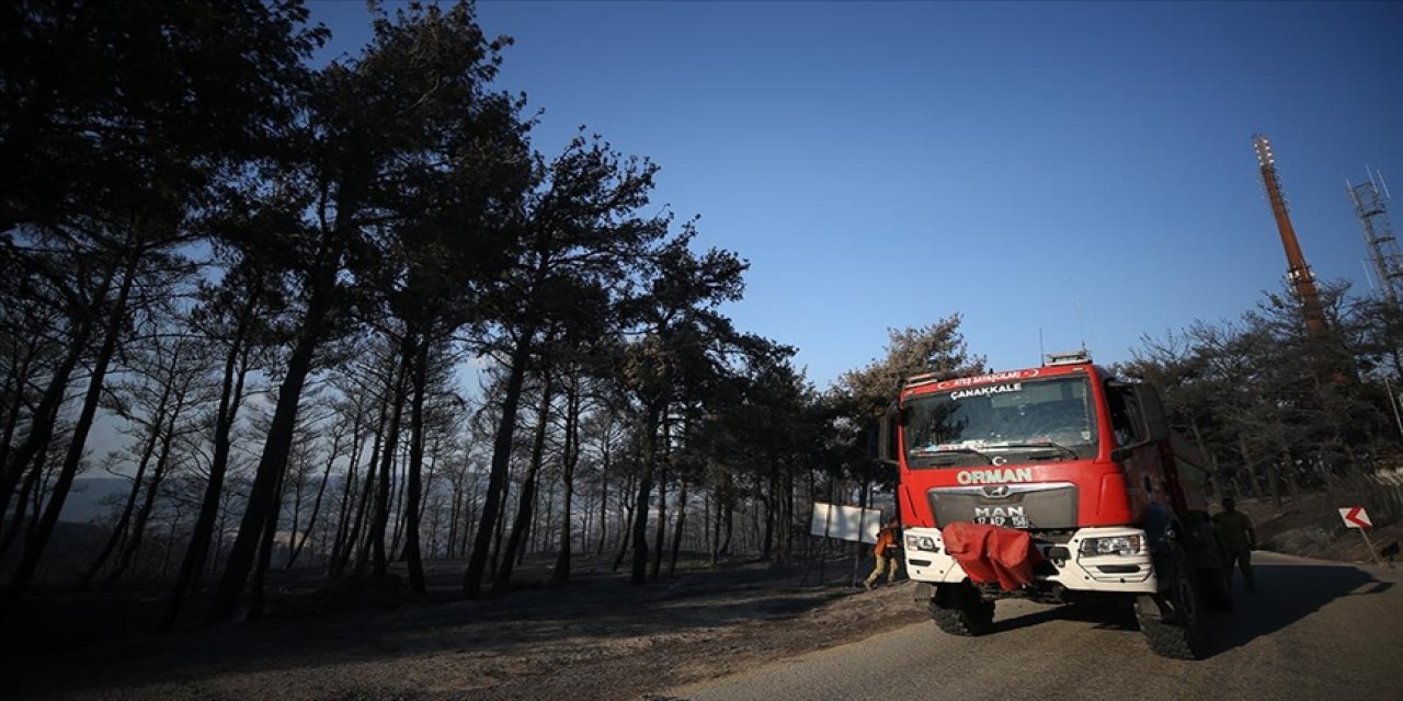 Çanakkale'deki orman yangınlarında son durum