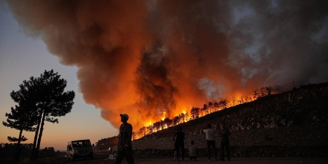 Bir şehir efsanesi: "Kozalak patlaması"