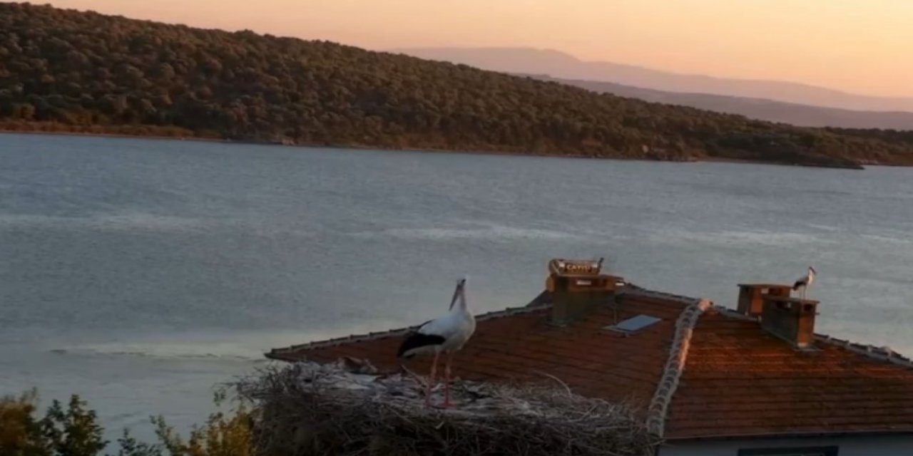 Depremi önceden hissetti