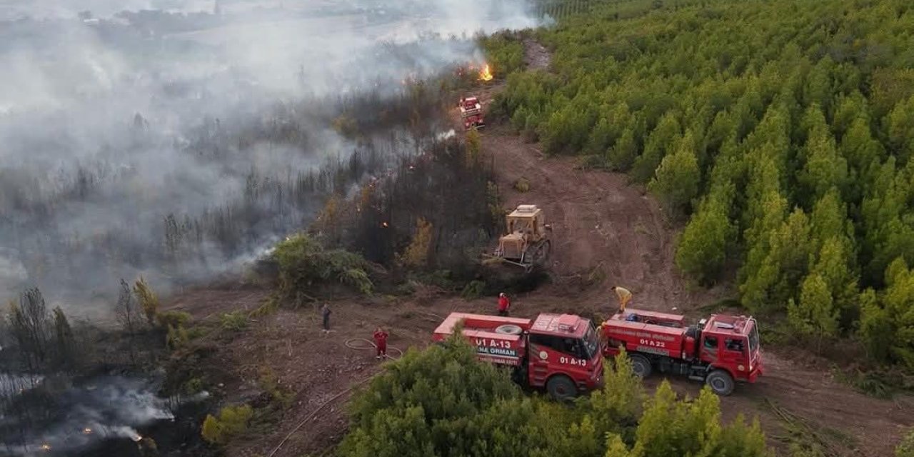 Acı haber duyuruldu: Orman işçisi şehit oldu