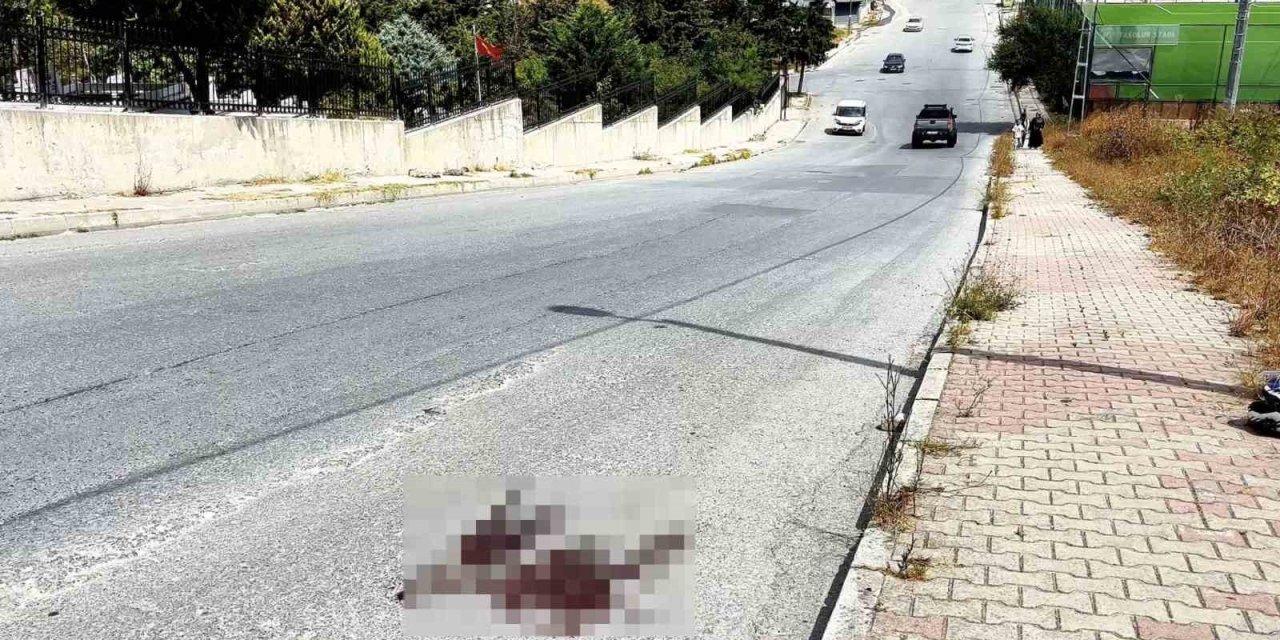 Mezarlık önünde kardeş kavgası cinayetle bitti