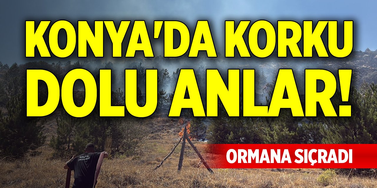Konya'da korku dolu anlar! Ormana sıçradı