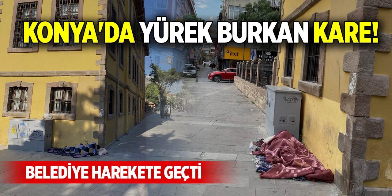 Konya'da yürek burkan kare: Belediye harekete geçti!