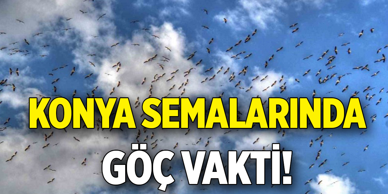 Konya semalarında göç vakti!