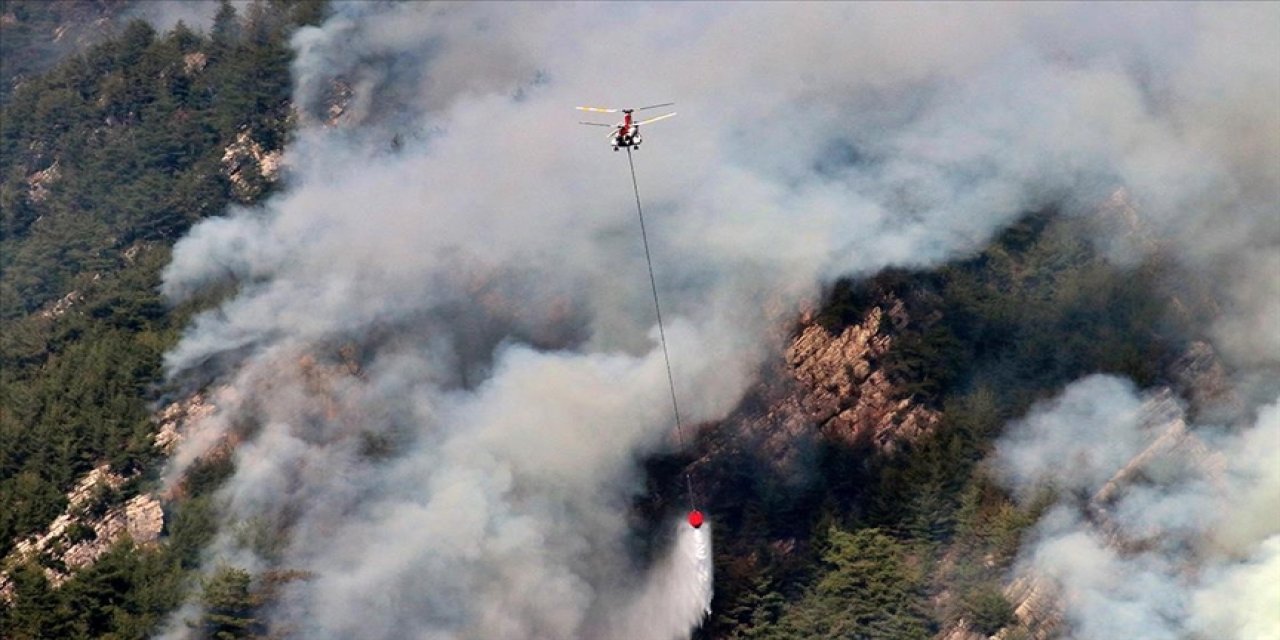 Orman şehidi sayısı 2'ye çıktı