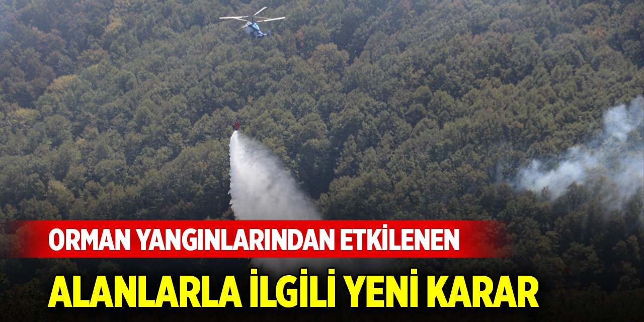 Orman yangınlarından etkilenen alanlarda avlanmak yasak!