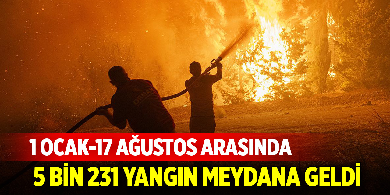 1 Ocak-17 Ağustos arasında 5 bin 231 yangın meydana geldi