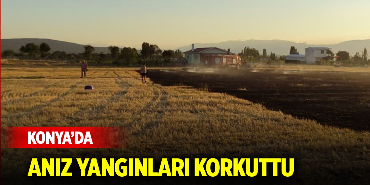 Konya'da anız yangınları korkuttu