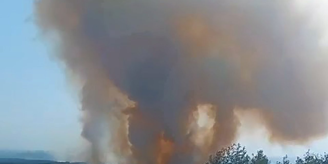 Adana'daki orman yangını kontrol altında